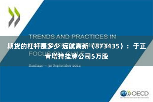 期货的杠杆是多少 远航高新（873435）：于正青增持挂牌公司5万股