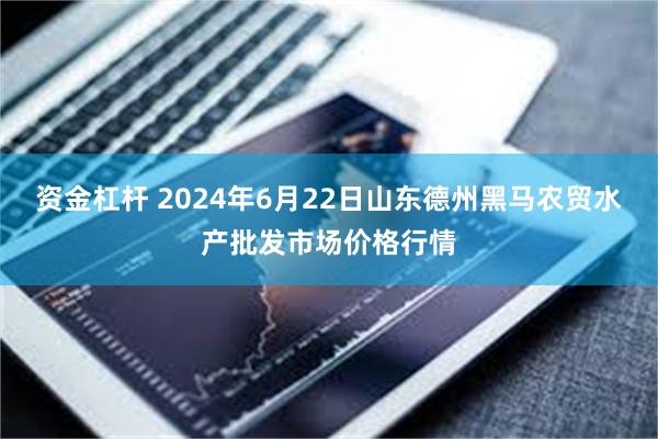 资金杠杆 2024年6月22日山东德州黑马农贸水产批发市场价格行情