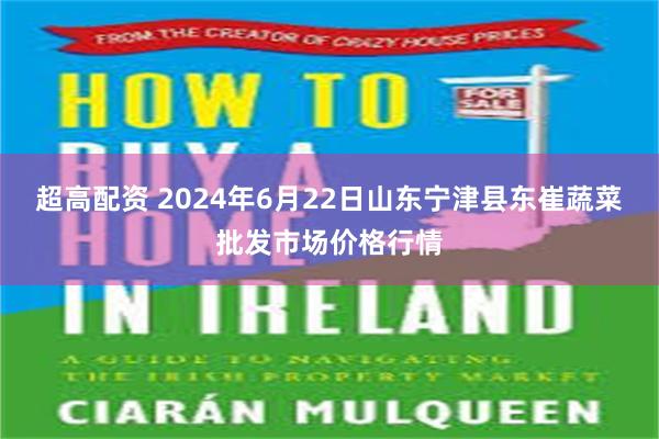 超高配资 2024年6月22日山东宁津县东崔蔬菜批发市场价格行情