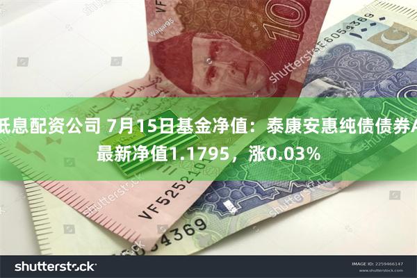 低息配资公司 7月15日基金净值：泰康安惠纯债债券A最新净值1.1795，涨0.03%