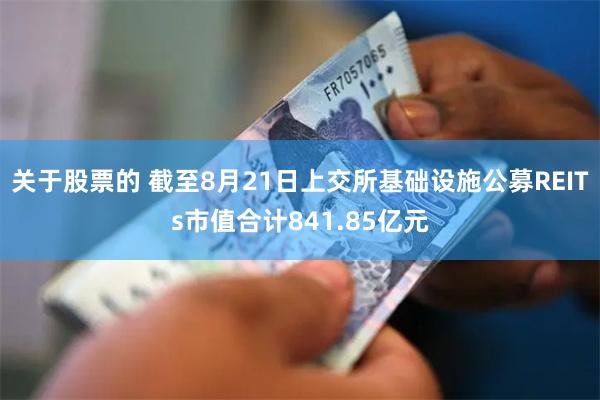 关于股票的 截至8月21日上交所基础设施公募REITs市值合计841.85亿元